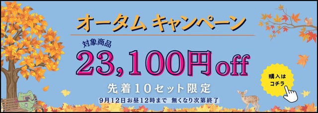 続きを見る